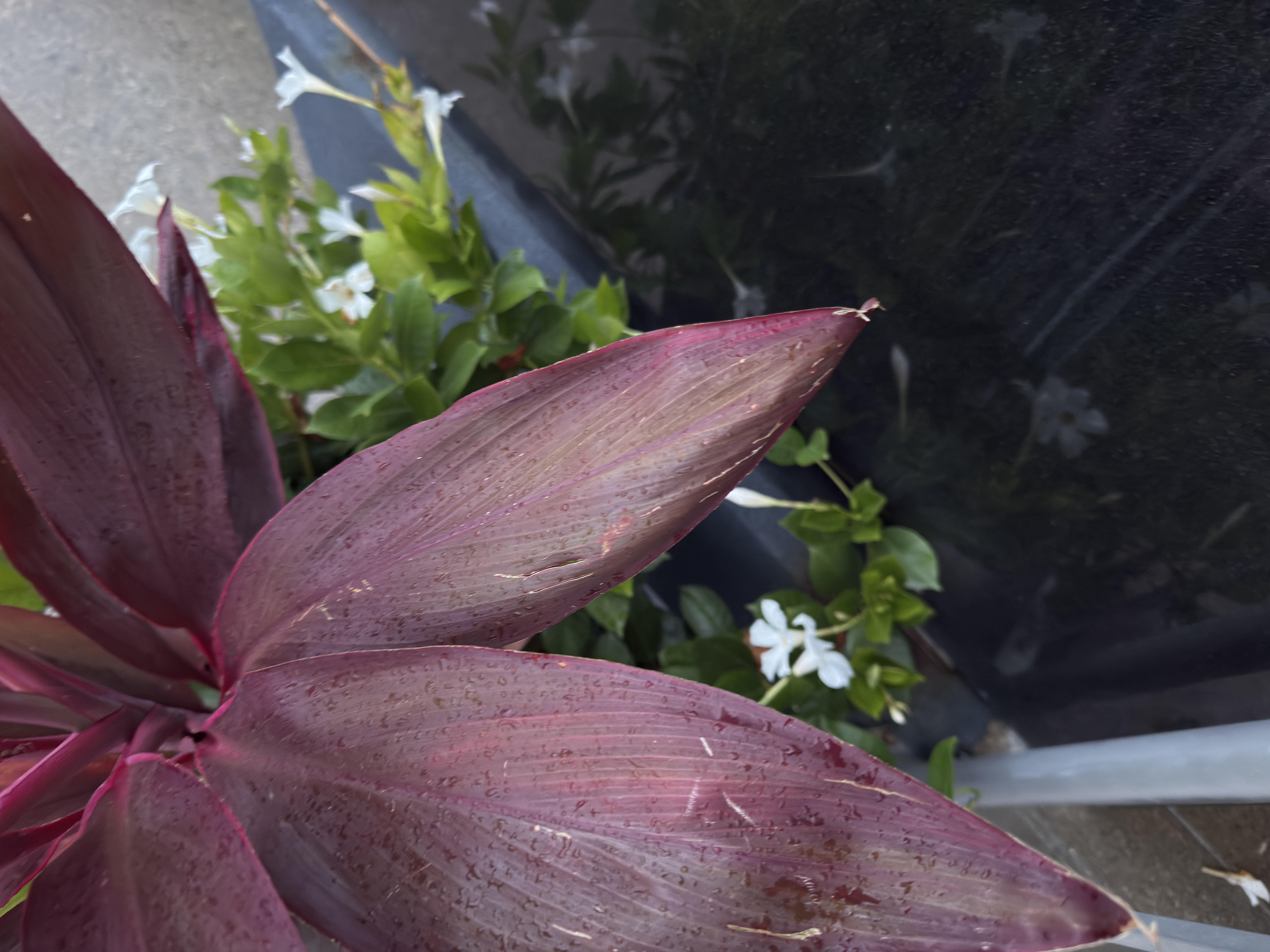 Photographic experiment contact sheet